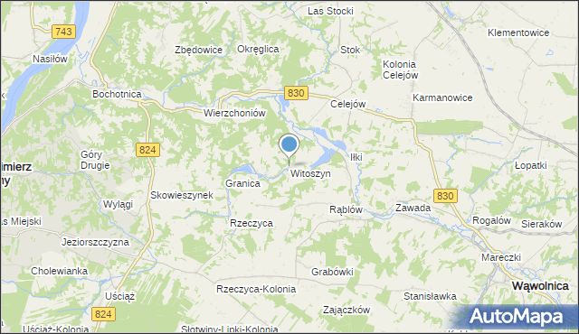 mapa Witoszyn, Witoszyn gmina Kazimierz Dolny na mapie Targeo